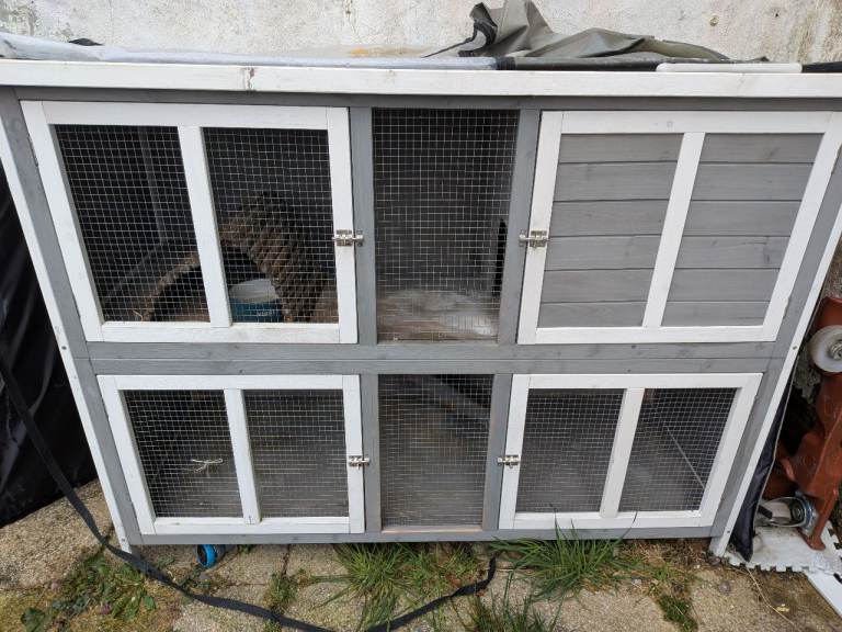 Guinea pig/rabbit hutch