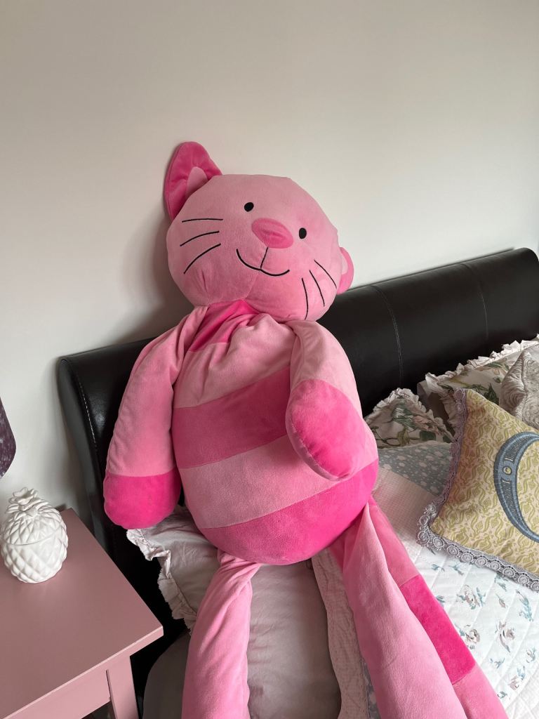 Stuffed pink cat 