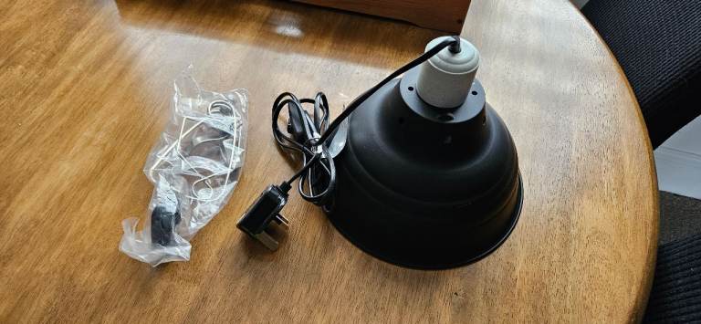 Reptile heat lamp
