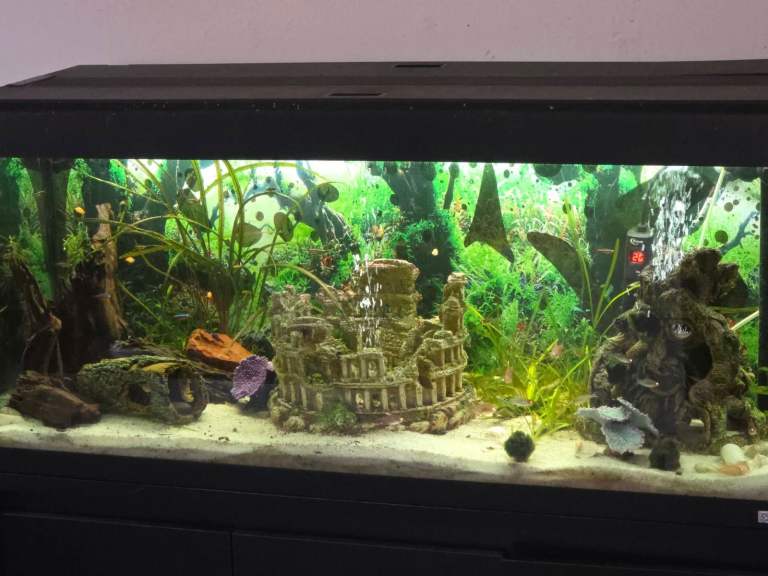 Large Aquarium Fish Tank with Ornaments – Good Condition