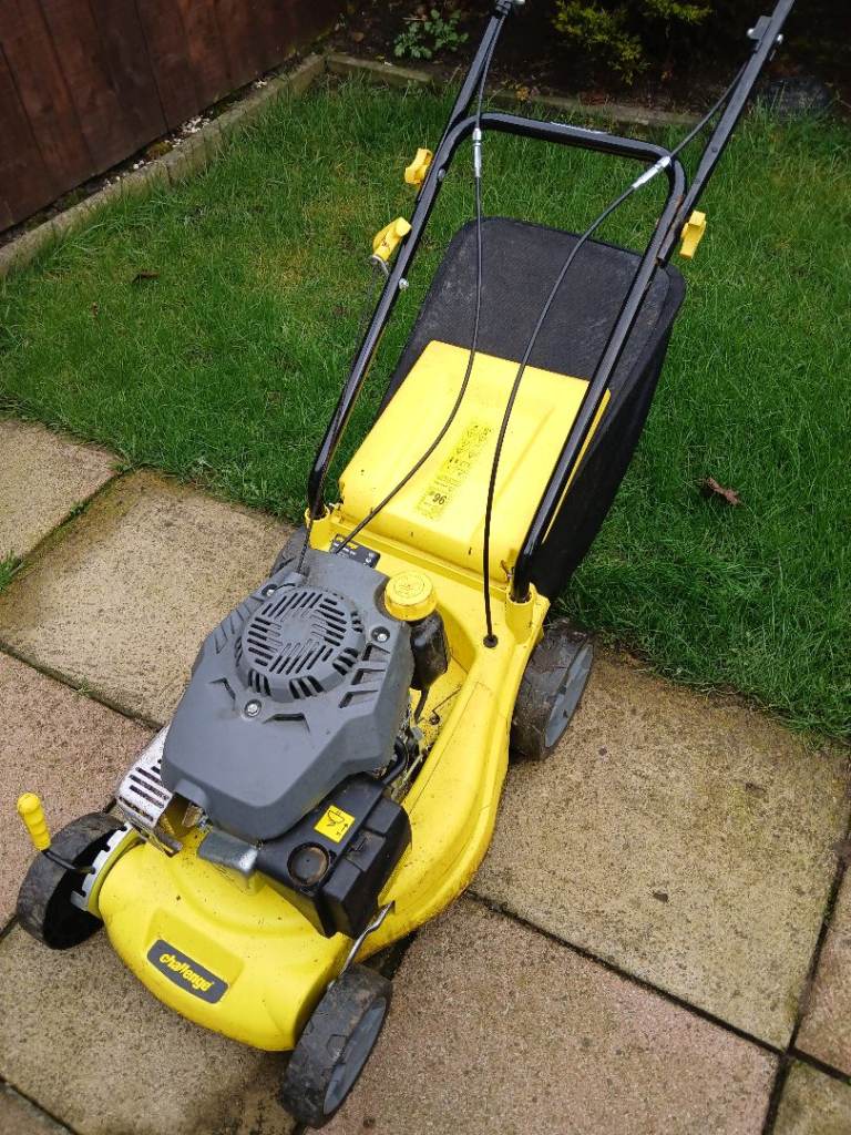 Petrol lawnmower 