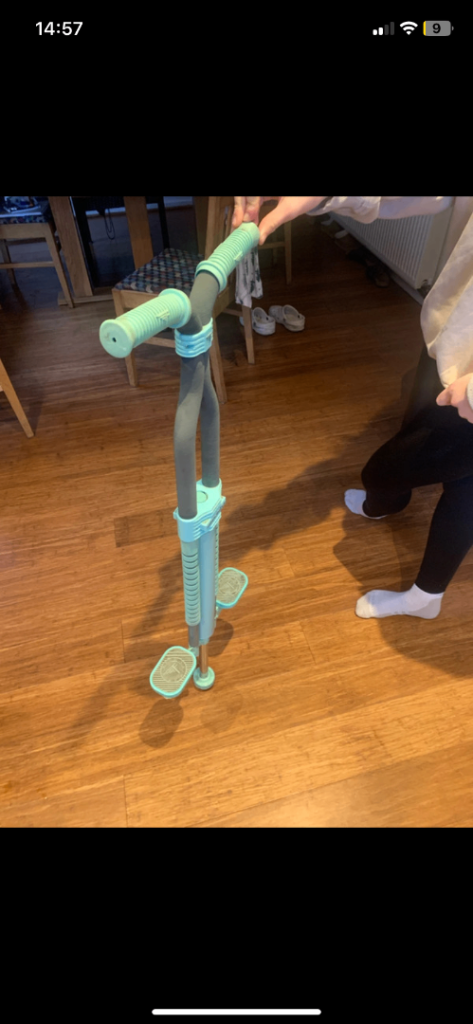 Flybar Master pogo stick 