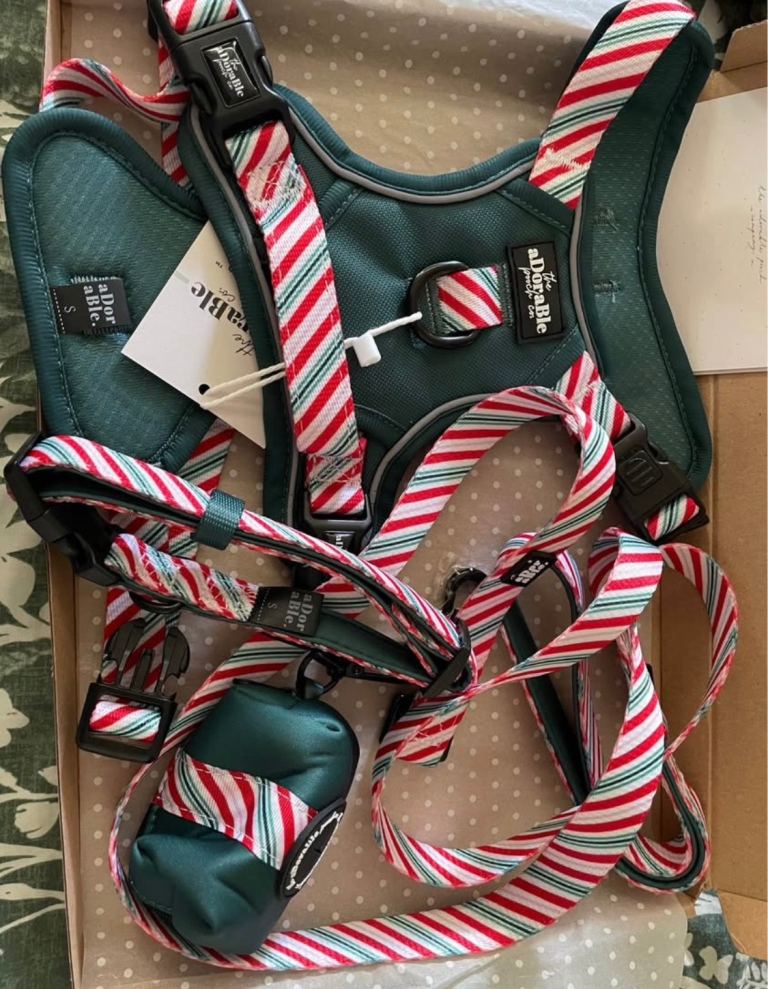 Brand new harness set 