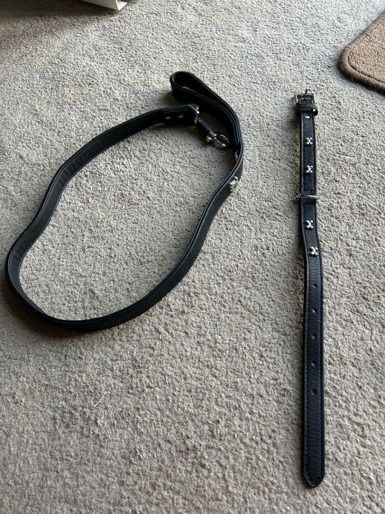 Puppy lead and collar 
