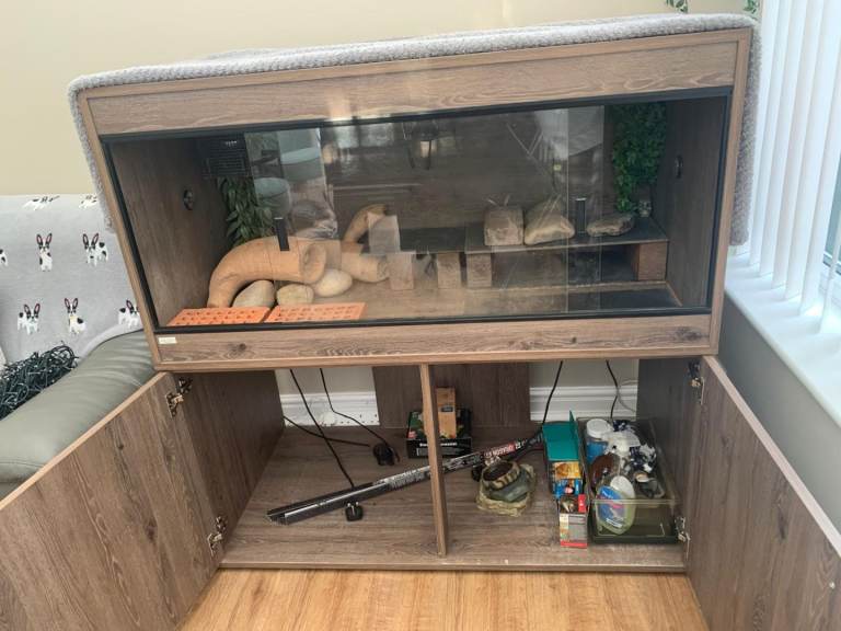 Bearded dragon vivarium