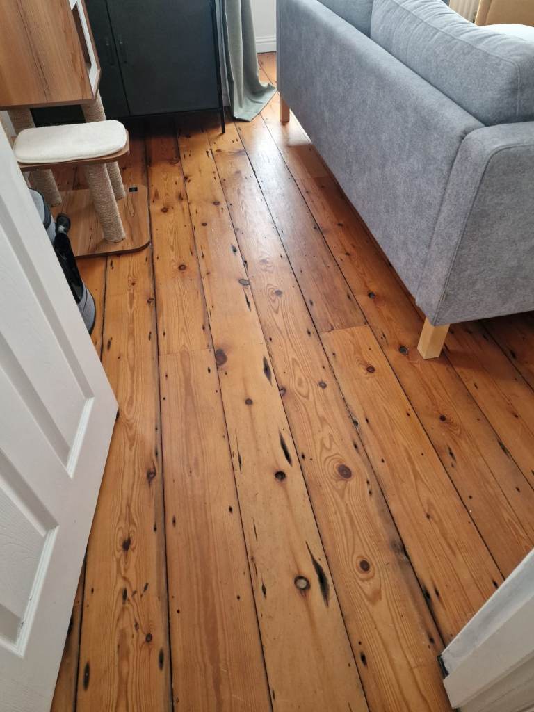 Free pine wood available for collection