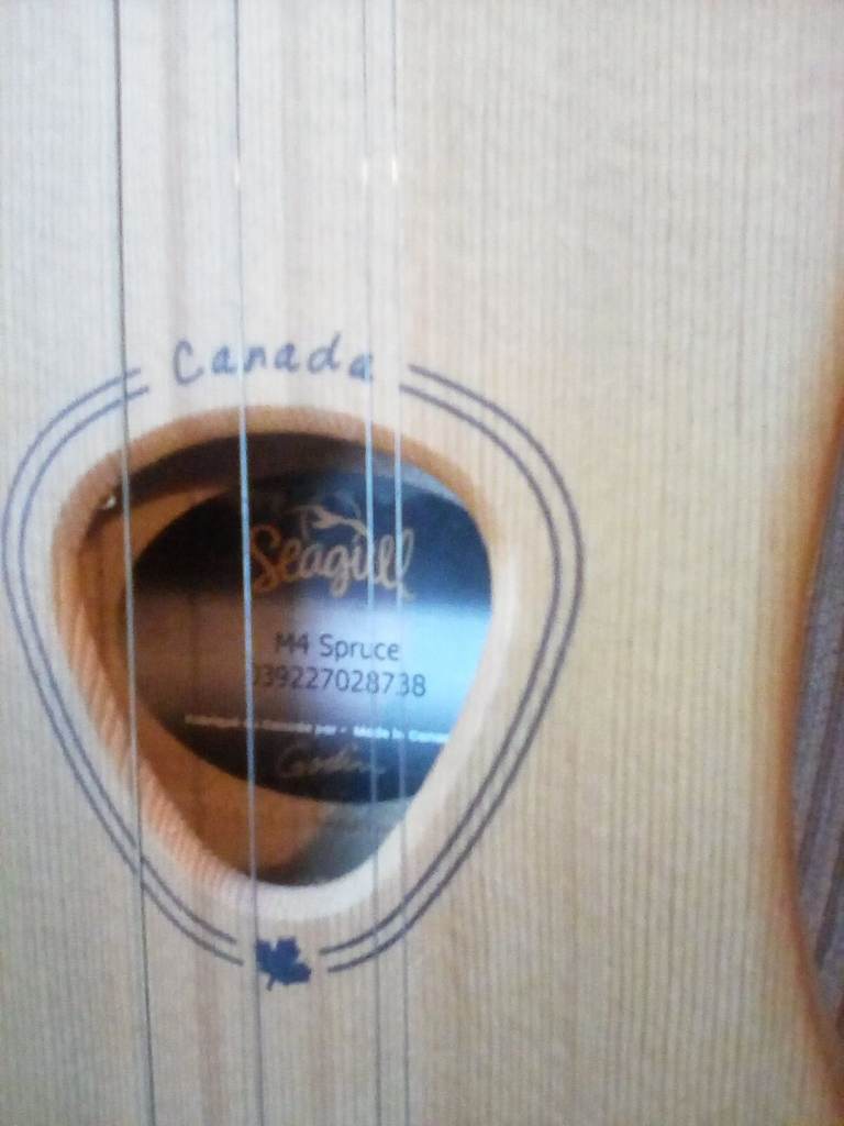 New Seagull M4 dulcimer