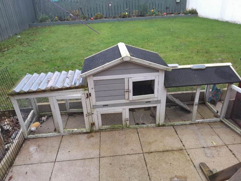 Rabbit or guinea pig hutch