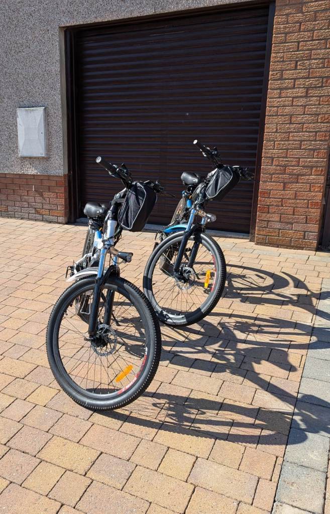 Ancheer 26" Folding Electric Bikes