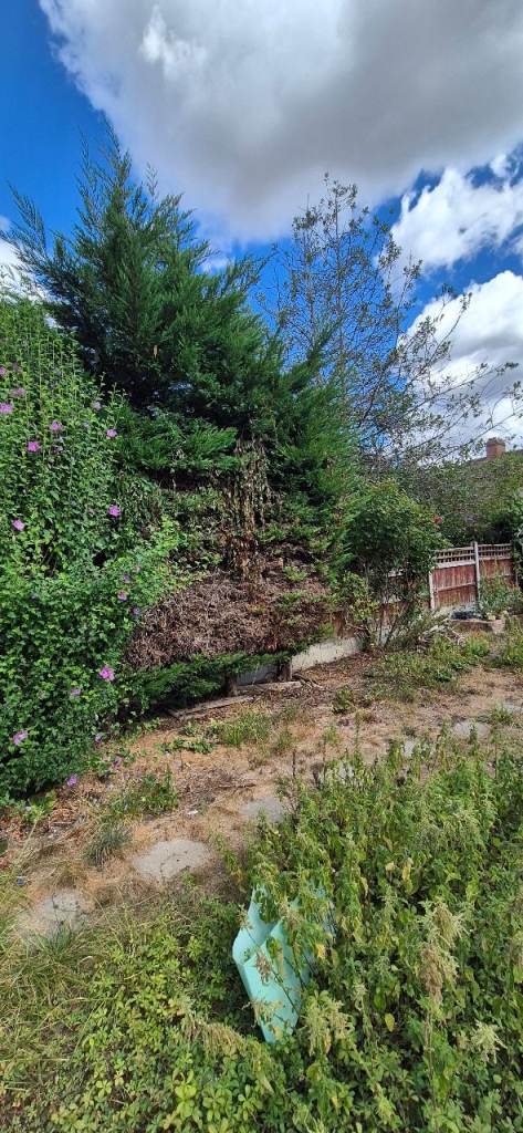 Garden clerance