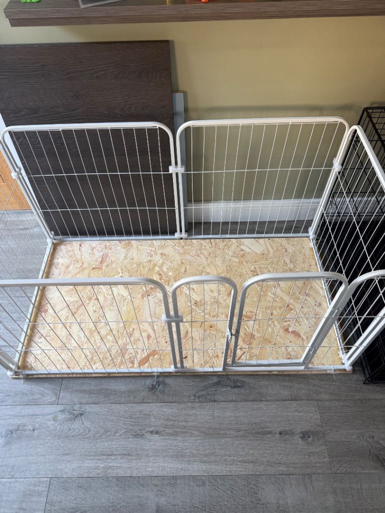 Dog pen 