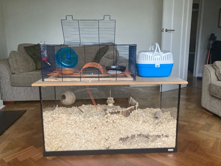 Bespoke Gerbil set up - glass tank and cage