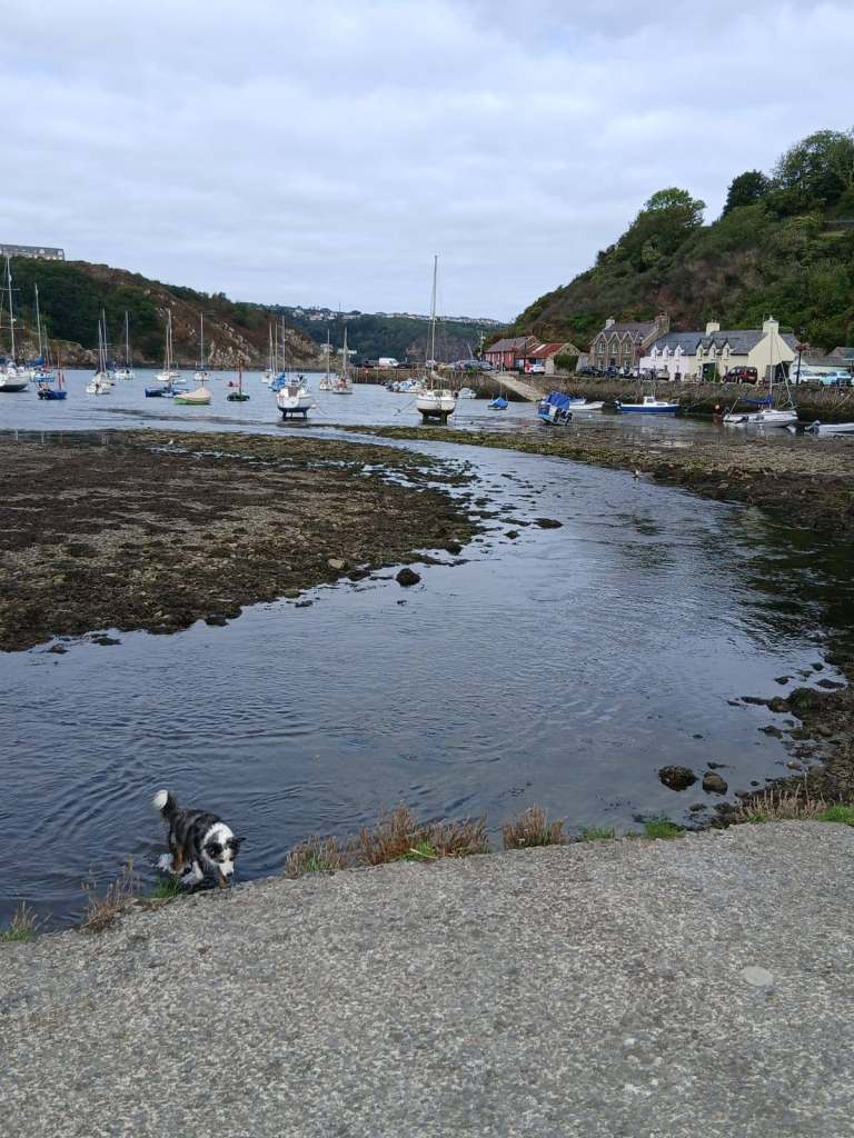 WANTED - Looking for a Rental Property in Fishguard
