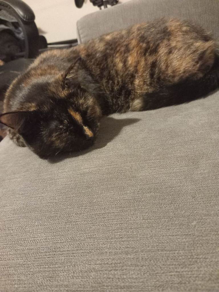 Poppet