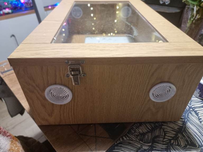 Wood and glass terrarium 