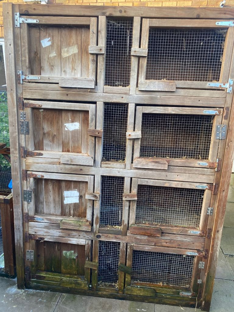 Rabbit hutches 