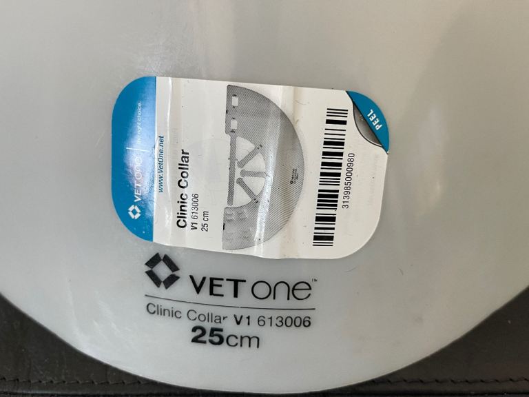 Dog Collar Cone