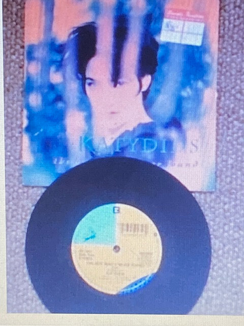 KATYDIDS THE BOY WHO'S NEVER FOUND 7" RECORD **AS NEW**