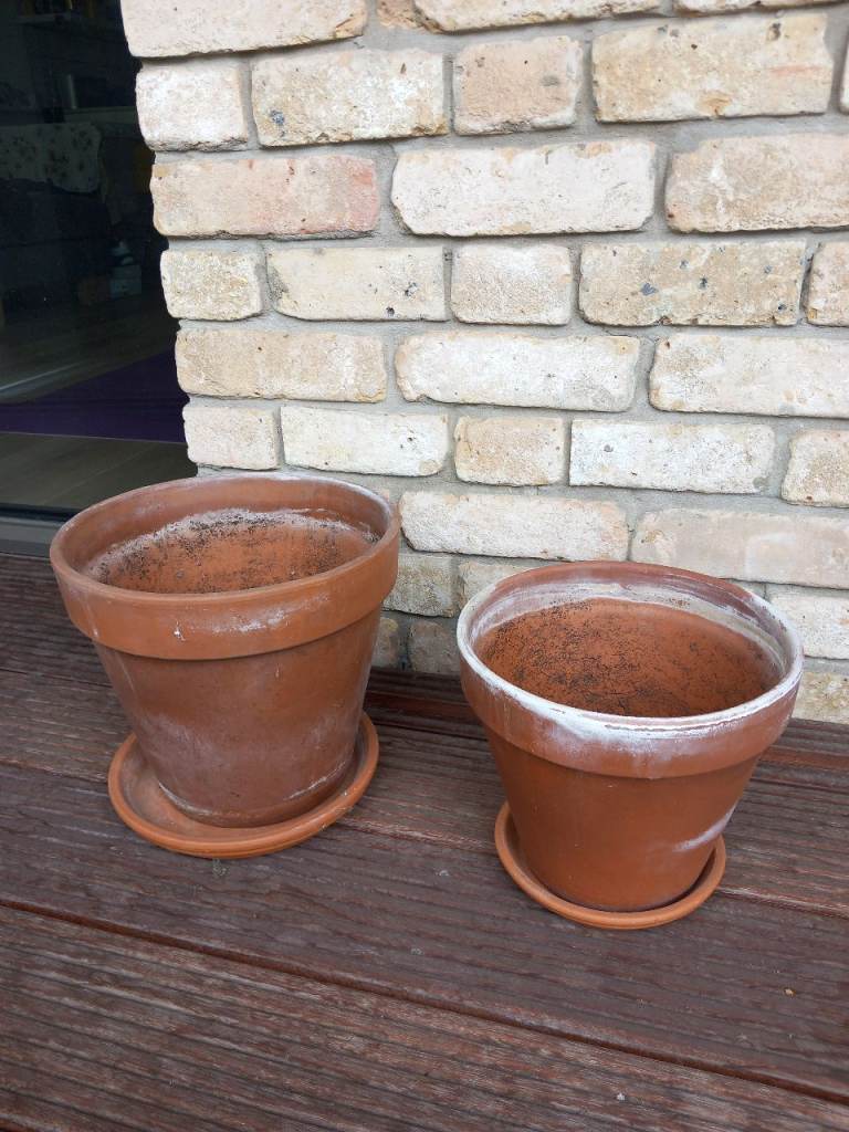 2 Italian Terracotta pots with saucers 