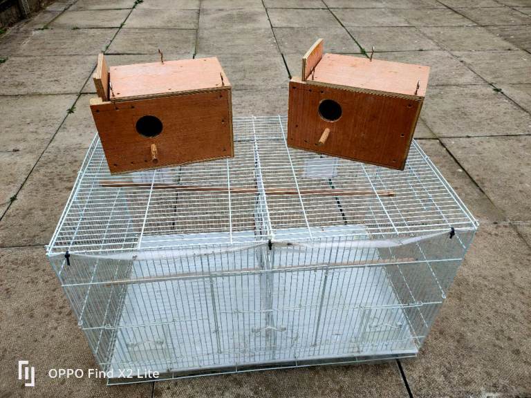 Bird cage with nests 
