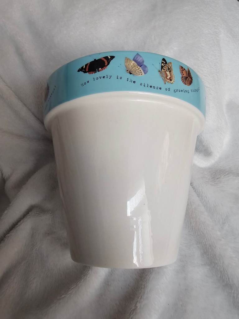 Biscuit/storage container