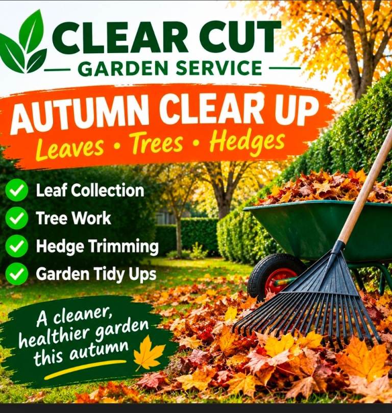 Grass Cutting / Garden Clear ups / Hedges /Weeding 