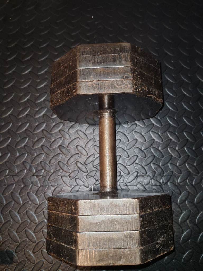 40kg cast iron barbell