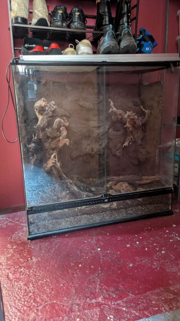 exo terra 90x90x45 terrarium large