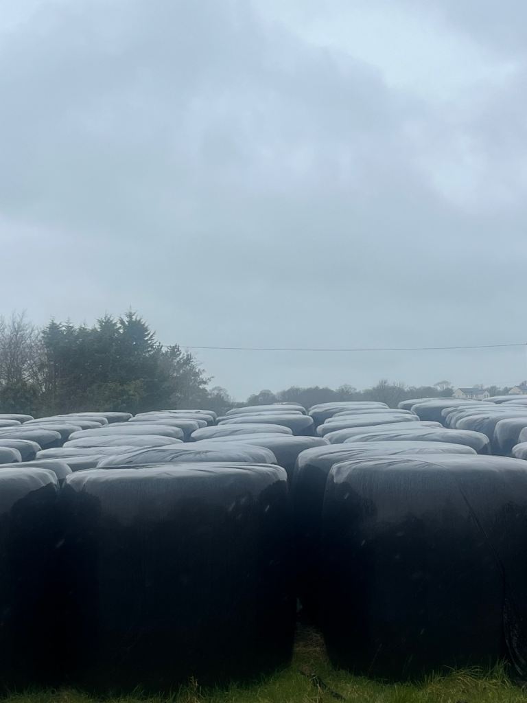 Silage for sale 