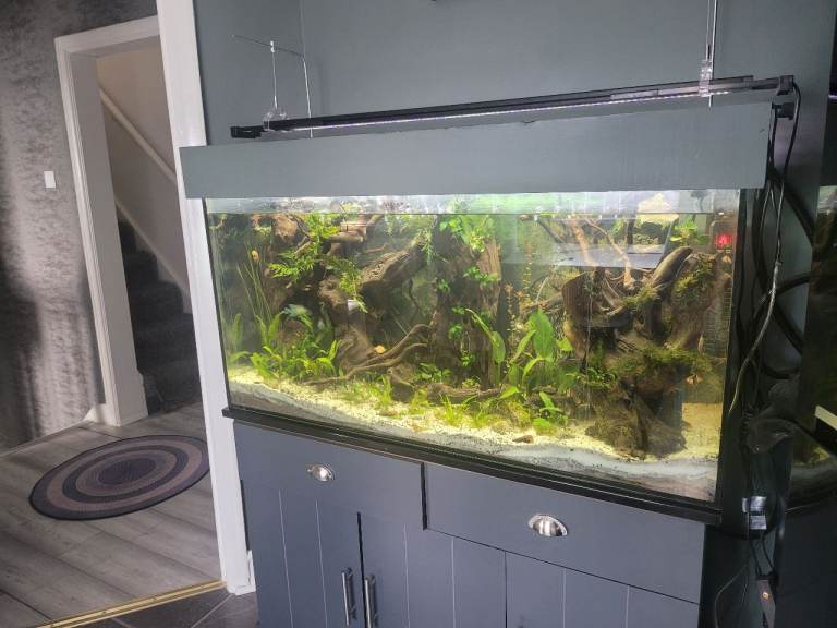 Large Aquarium with Cabinet and Lighting – Good Condition