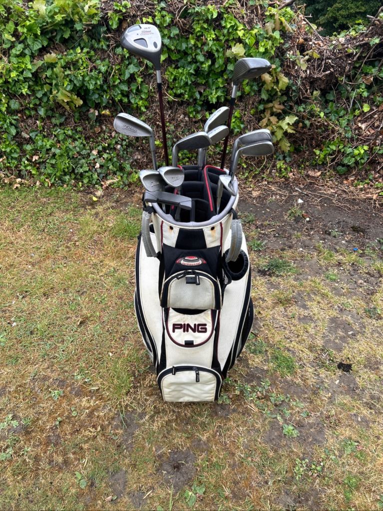 Men’s Golf Clubs Titleist Driver 3W 3-9 Irons Sw Pw Wilson Putter Ping Cart Bag 