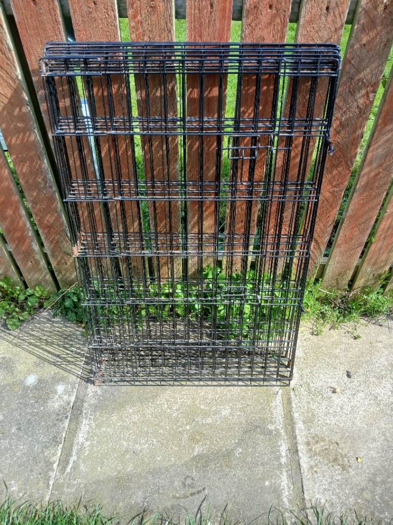 Dog pen 
