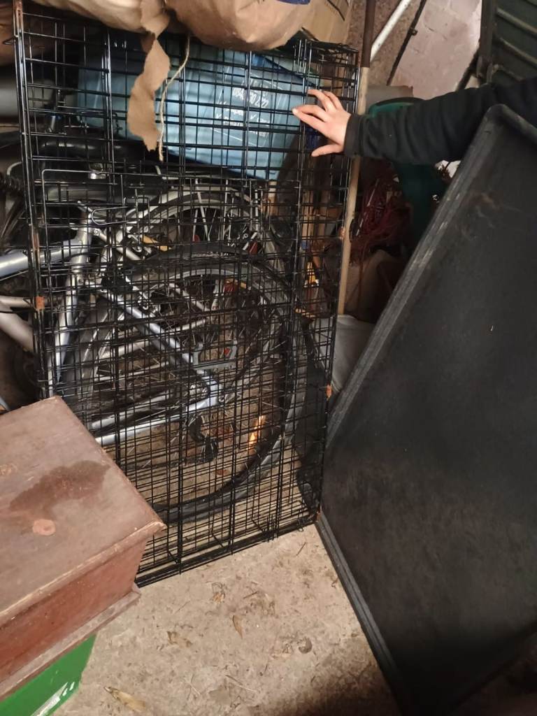 ***GONE*** XL dog crate FREE COLLECTION ONLY