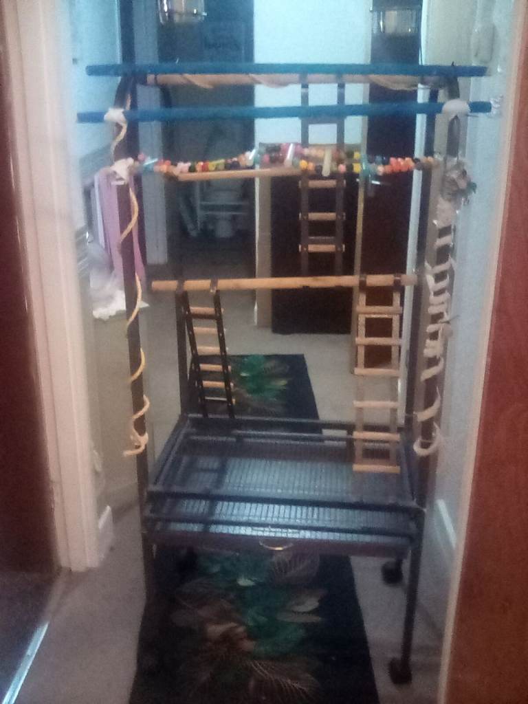 Large metal bird perch stand
