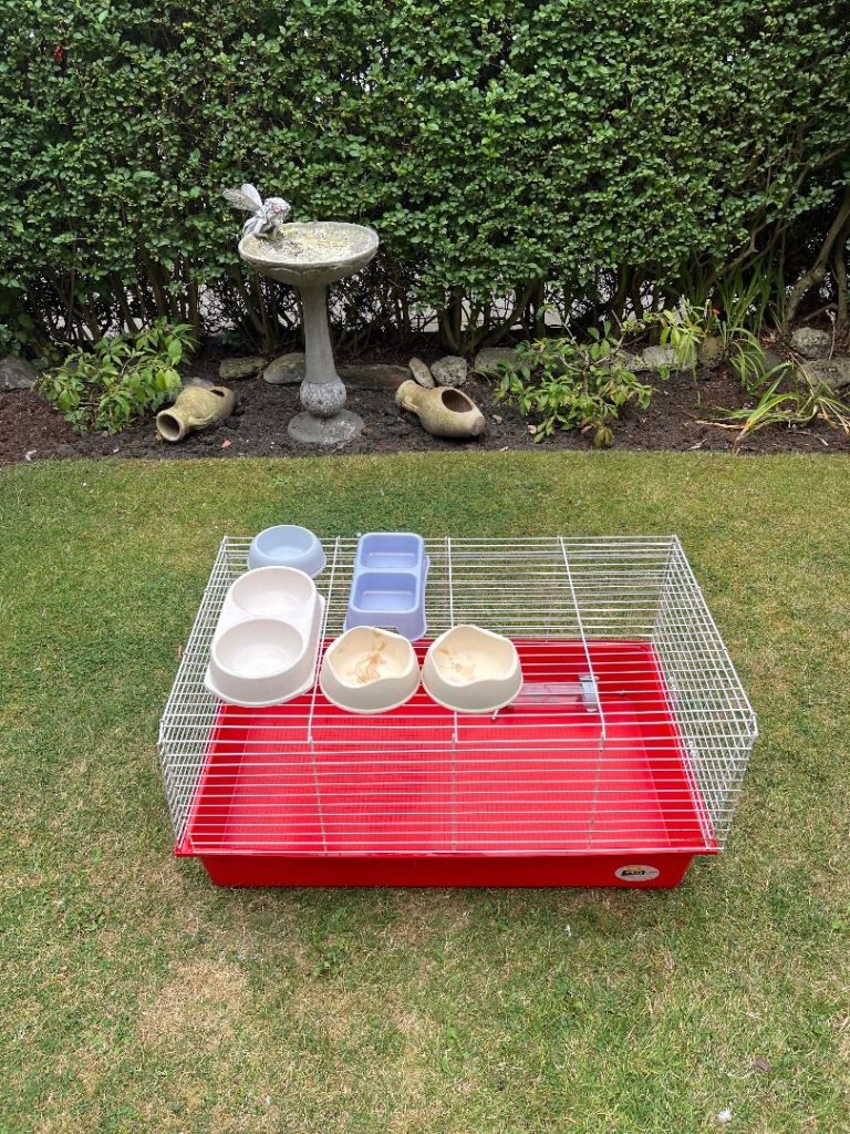 Guinea pig cage
