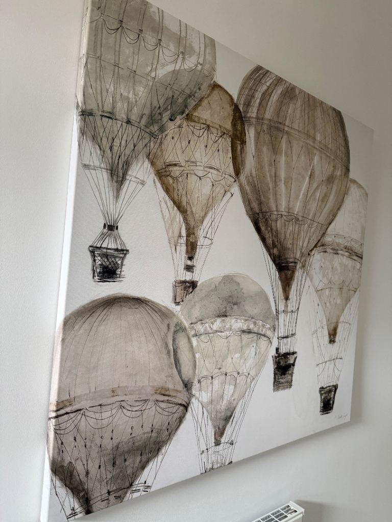 Large Hot Air Balloon Canvas Picture