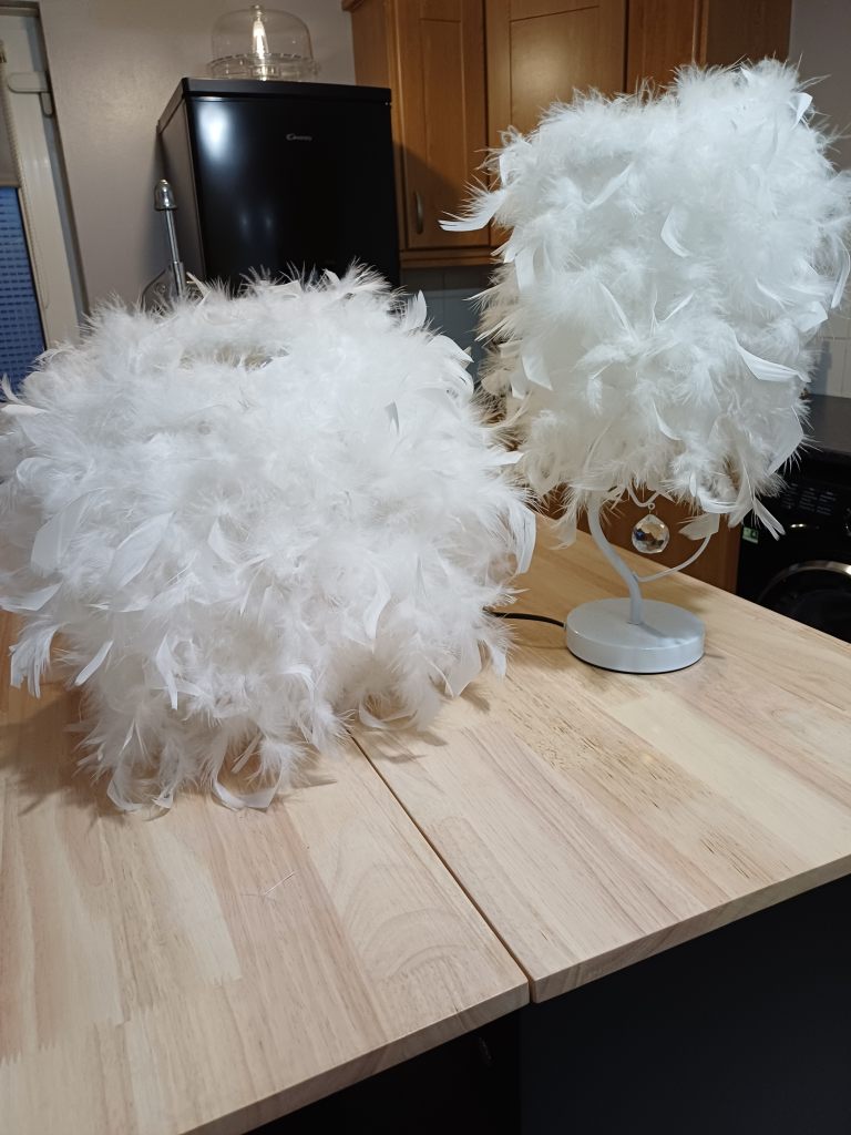 Ceiling shade, table lamp and rug.