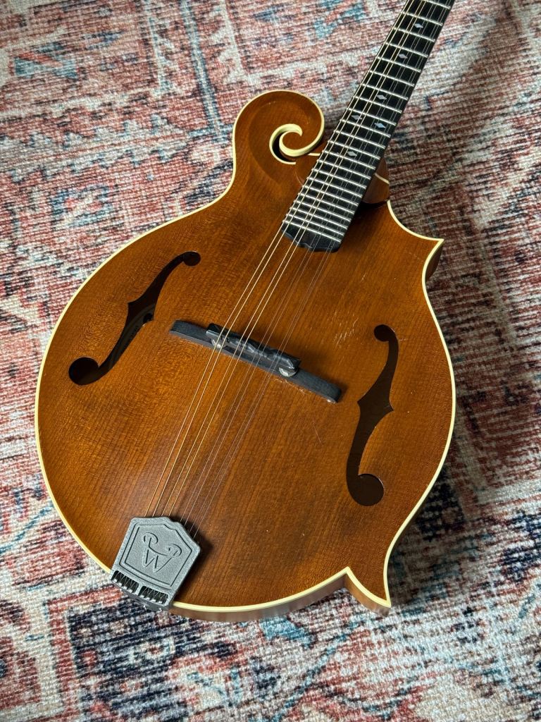 Weber Bitterroot F14-F Mandolin