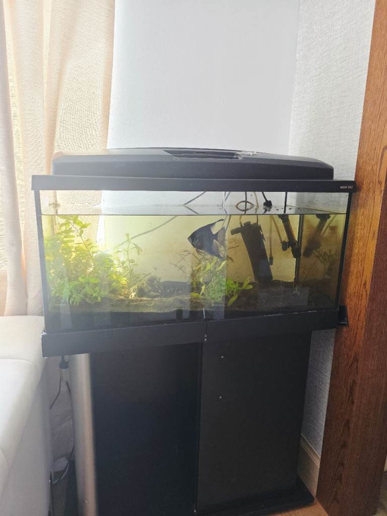 Aquarium with Stand & Equipment