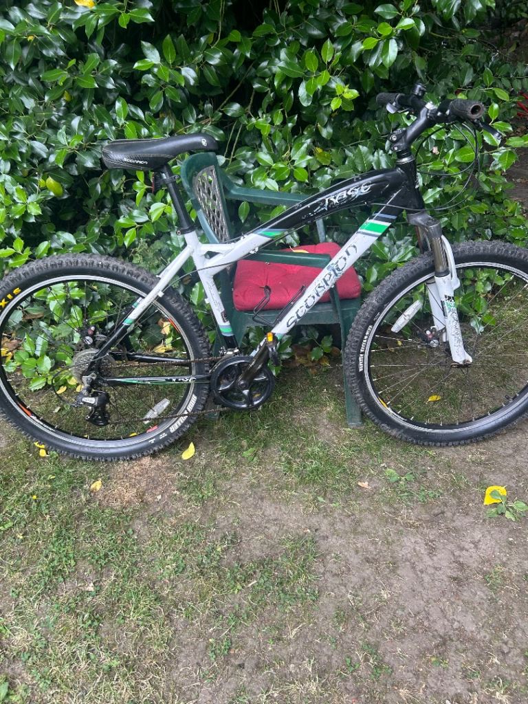 Scorpion Race adult mountain bike 