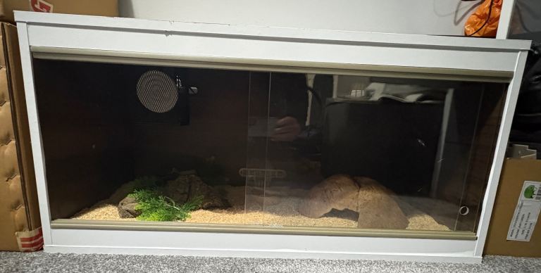 Reptile Vivarium