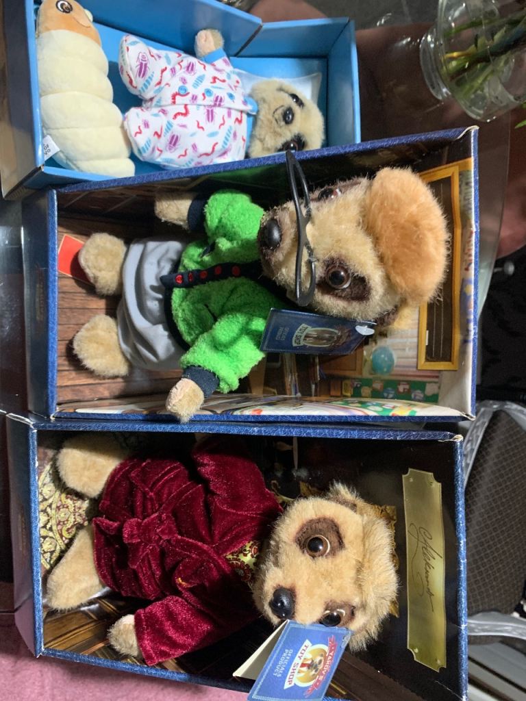 Compare the Meerkats