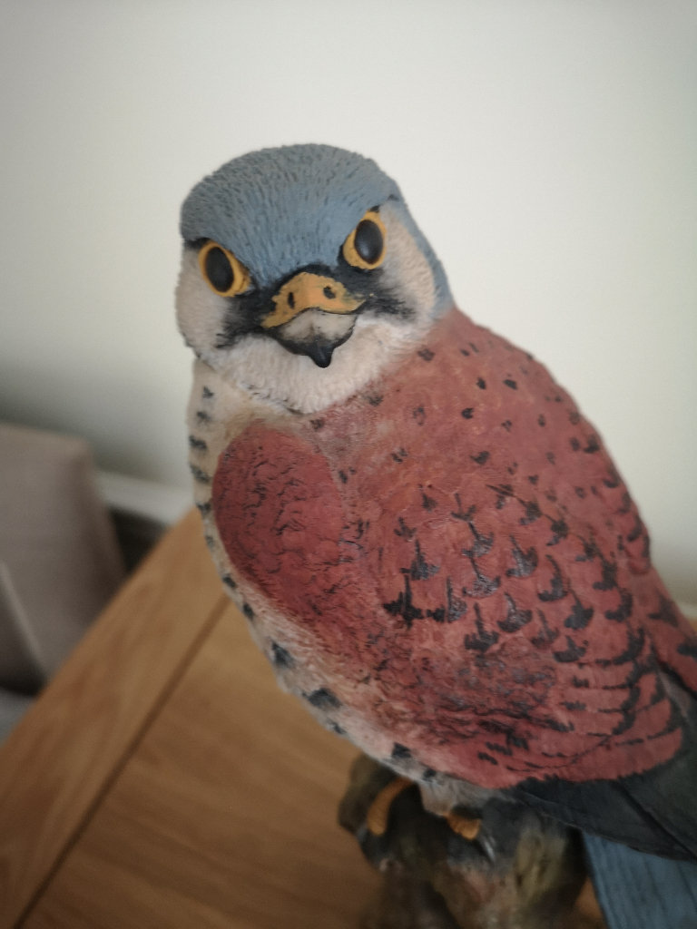 Arden sculpture kestrel bird of prey 