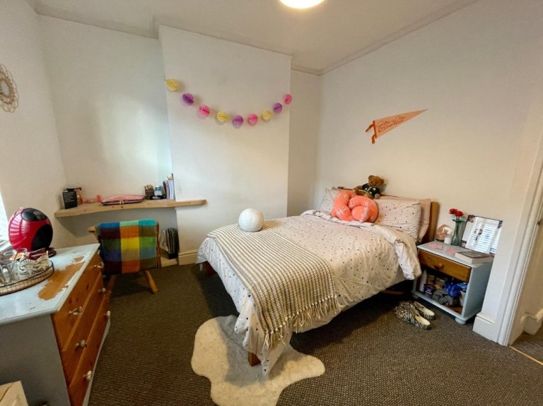 Looking for a student roommate 