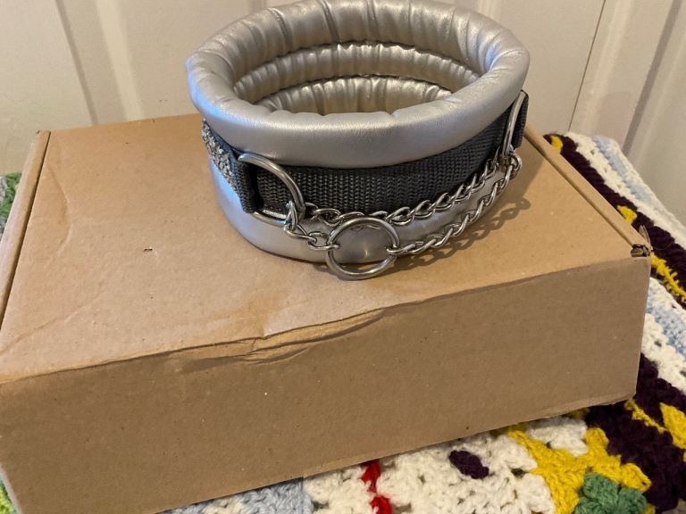 Coat saver collar
