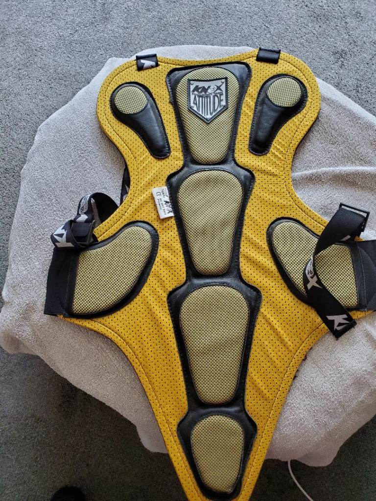 OFFERS. KNOX Motorcycle Back Protector. Size L. As New.