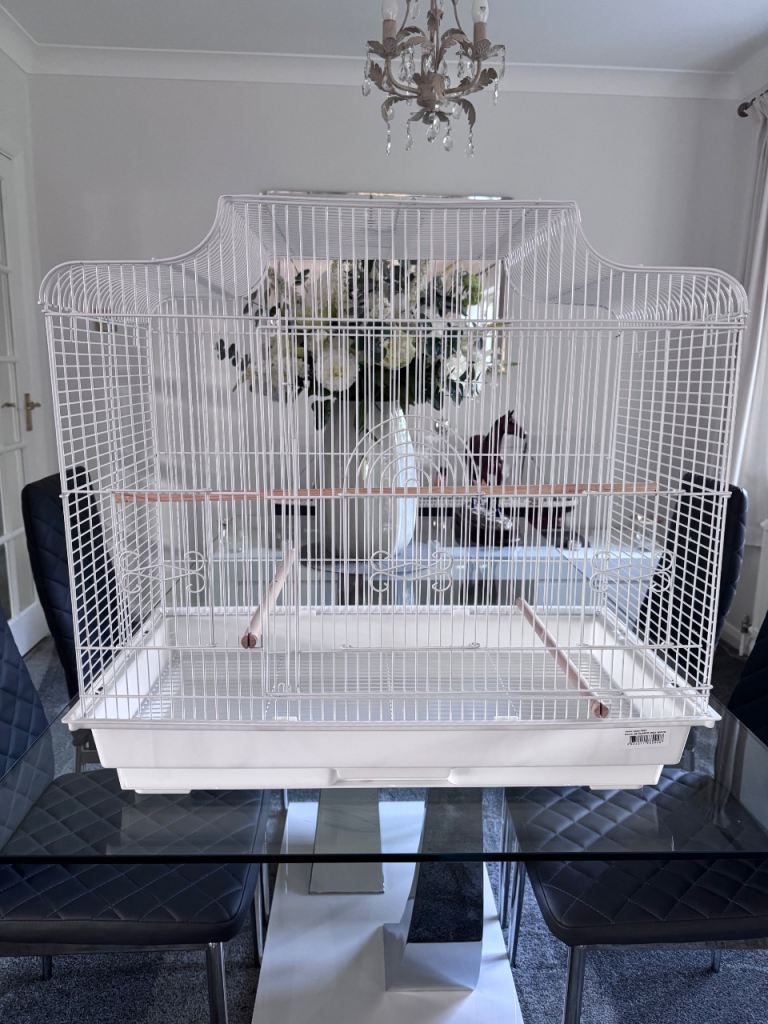 Rainforest Puerto Rica cage & Stand