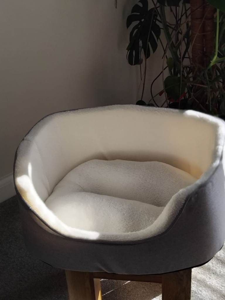 Tails Oval Dog Bed Brand New 