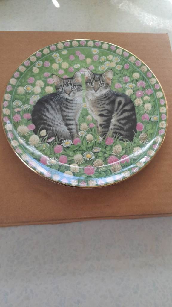 Aynsley Cat Plates by Lesley Anne Ivory
