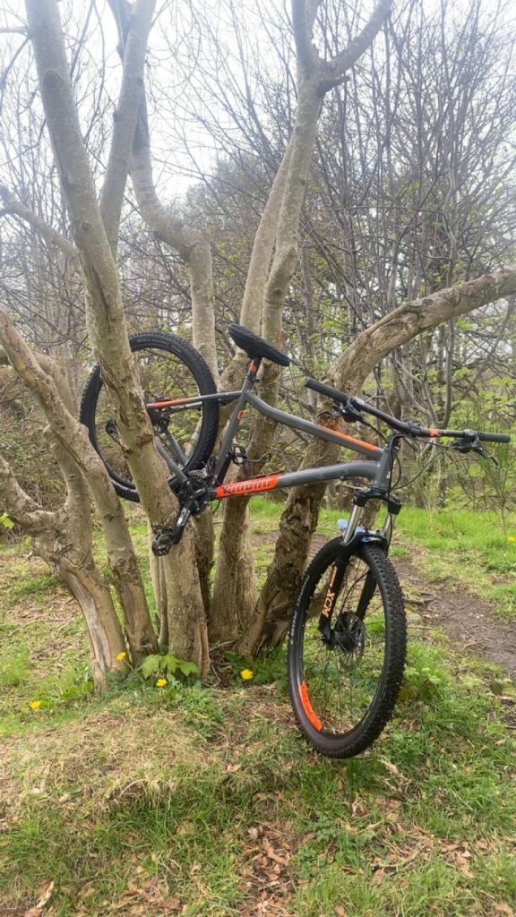 Voodoo Bantu Mountain Bike - Testing Waters / Open to Offers